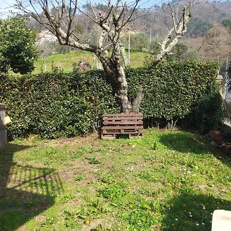 Hébergement de vacances Casa Di Nonno Via Di Palmata 1576 *